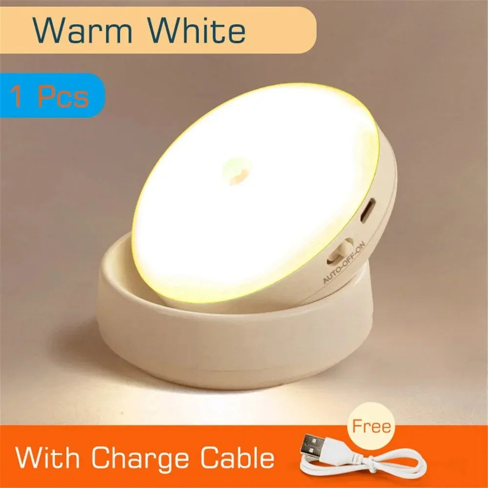 Liuyangmao USB Rechargeable Motion Sensor LED Night Light