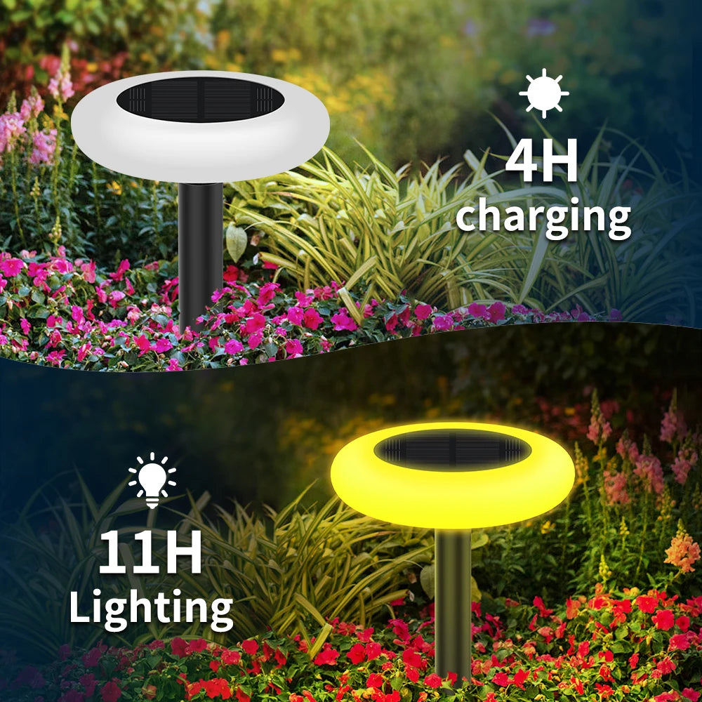 Intelamp Outdoor Solar Pathway Garden Lights