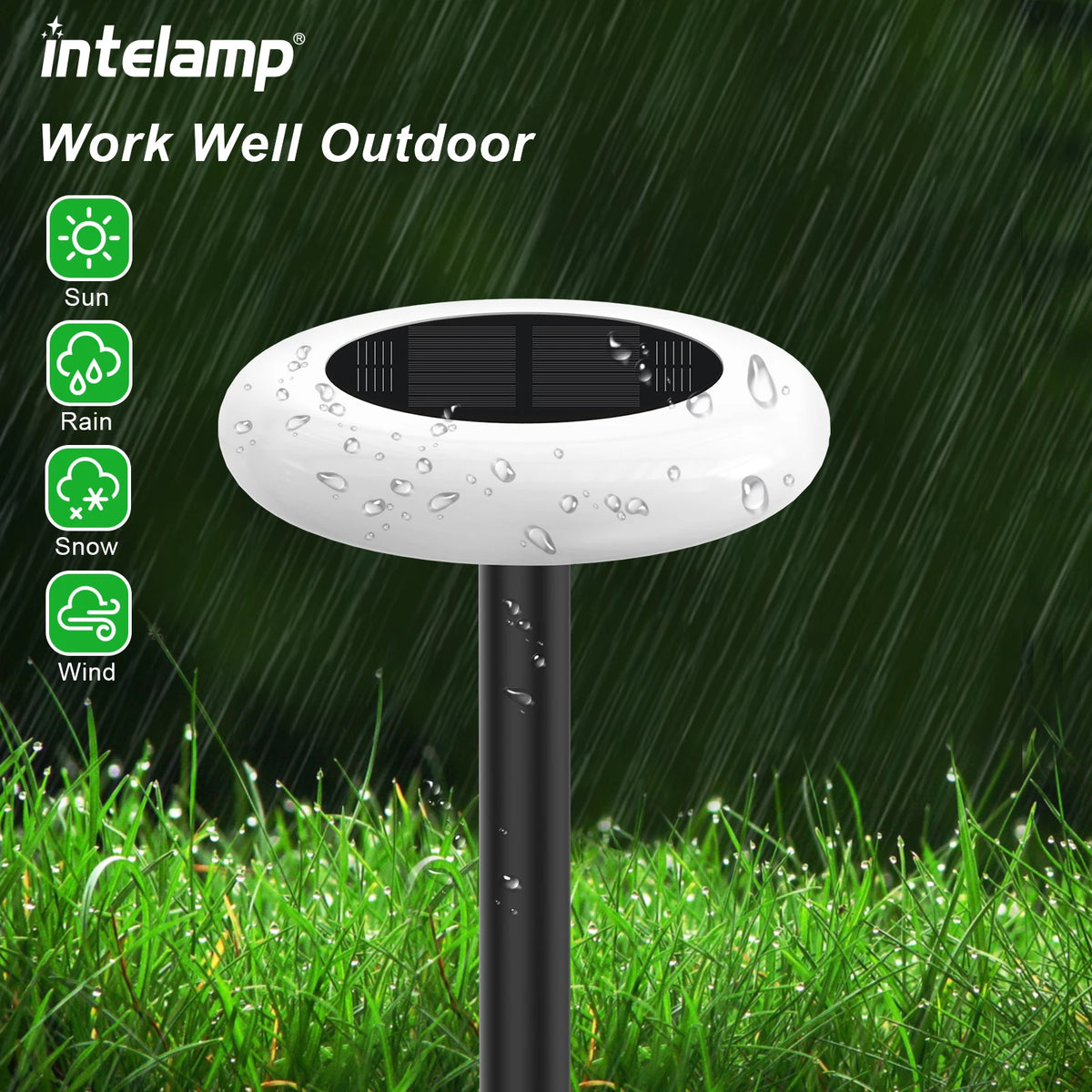 Intelamp Outdoor Solar Pathway Garden Lights