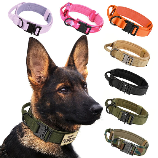 Adjustable Tactical Dog Training Collar With Leash Set