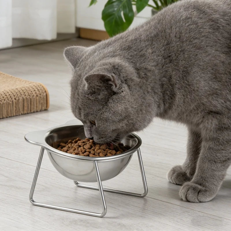 Booteely Tilted Stainless Steel Cat Food Bowl
