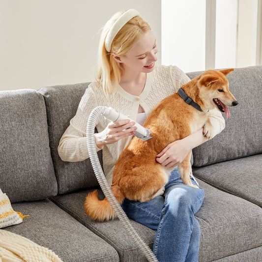 Professional Pet Grooming Vacuum With Clipper Kit