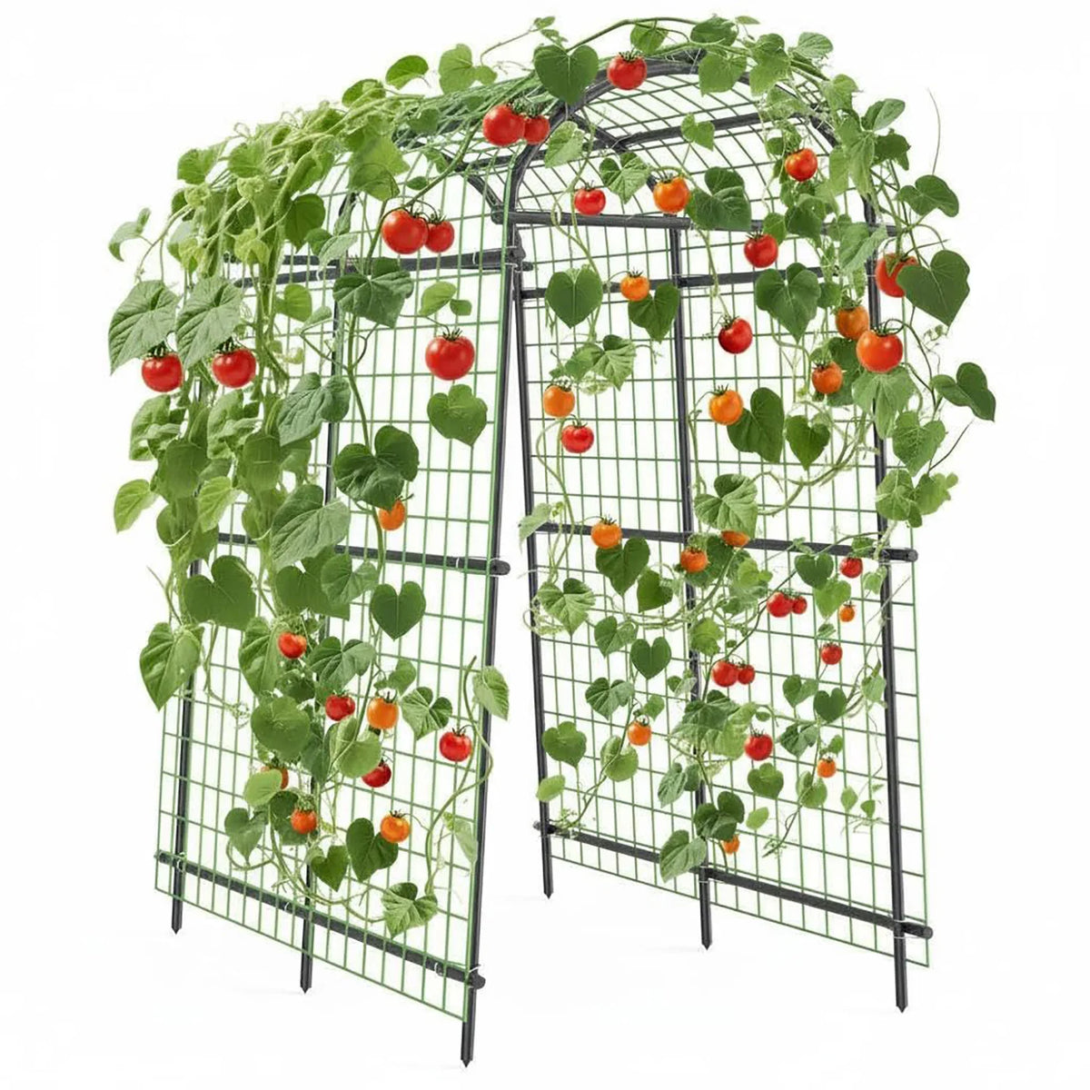 DishyKooker Garden Arch Trellis Heavy Duty Steel