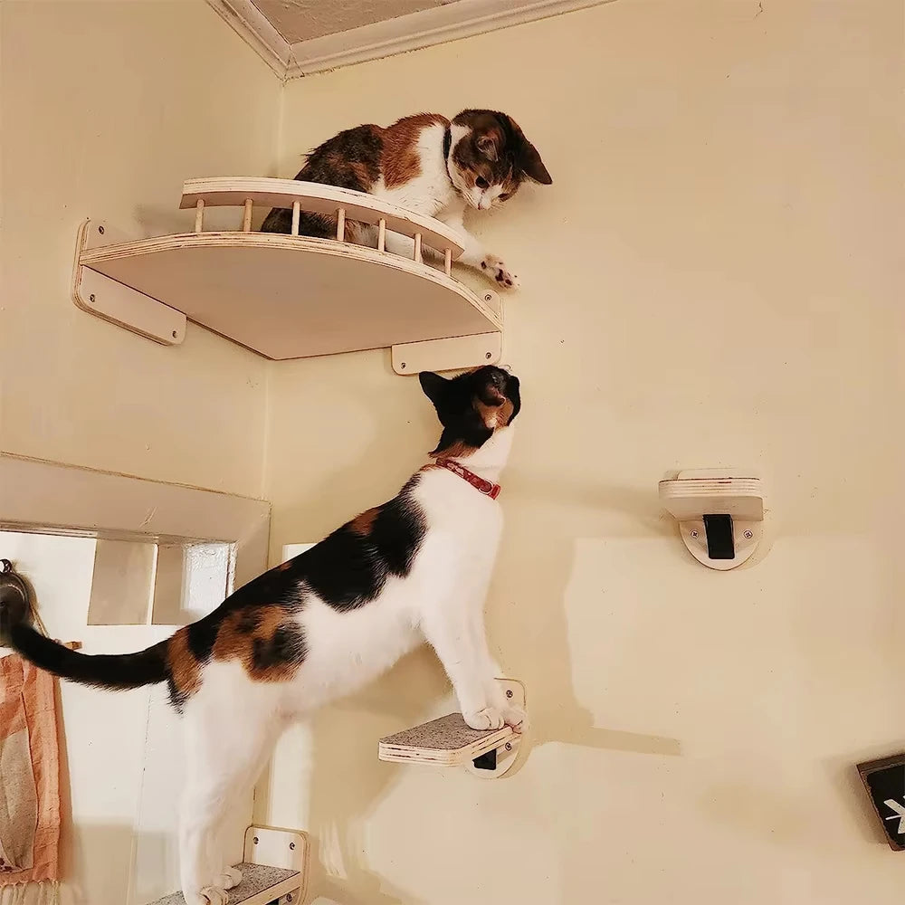 CWV Cat Wall Climbing Shelf With Sisal Scratcher