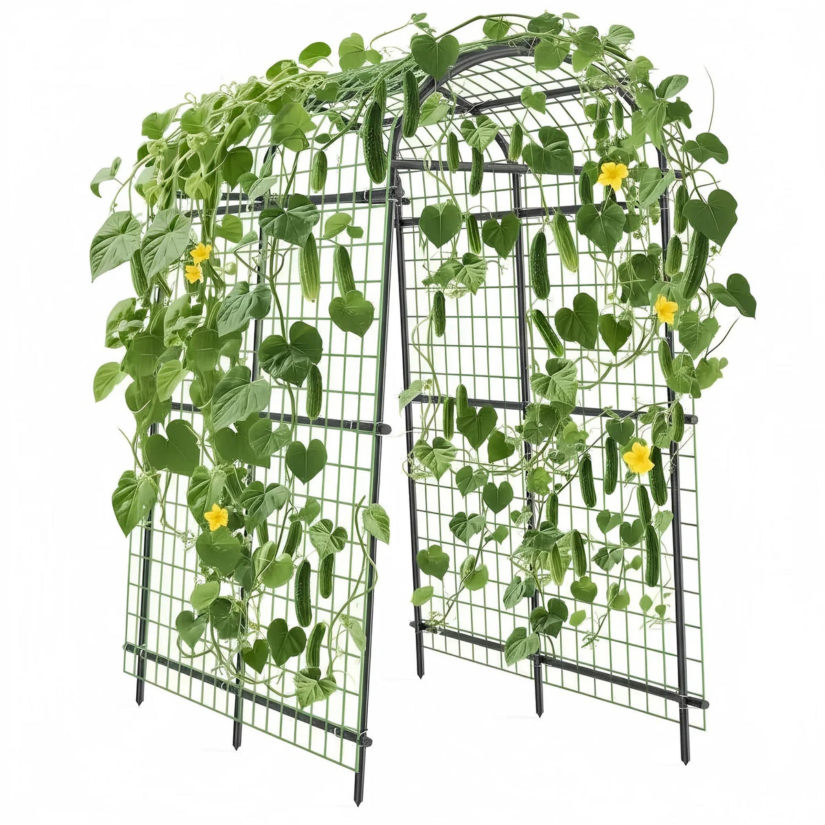 DishyKooker Garden Arch Trellis Heavy Duty Steel