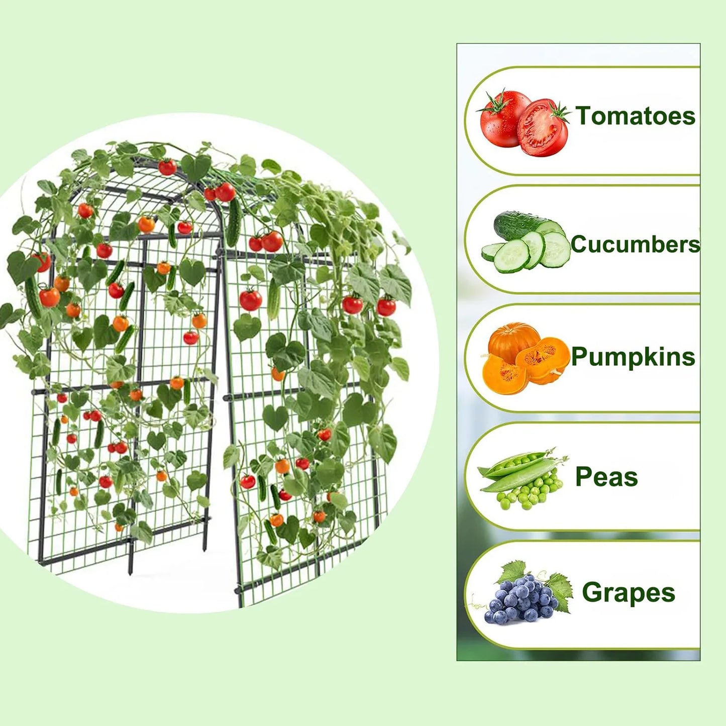 DishyKooker Garden Arch Trellis Heavy Duty Steel