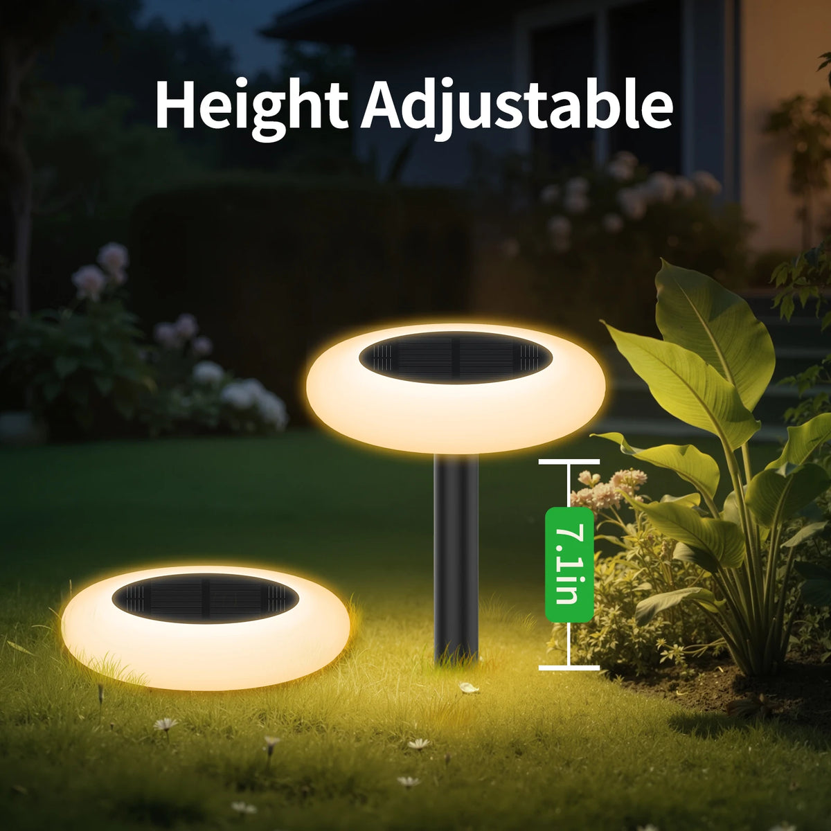 Intelamp Outdoor Solar Pathway Garden Lights