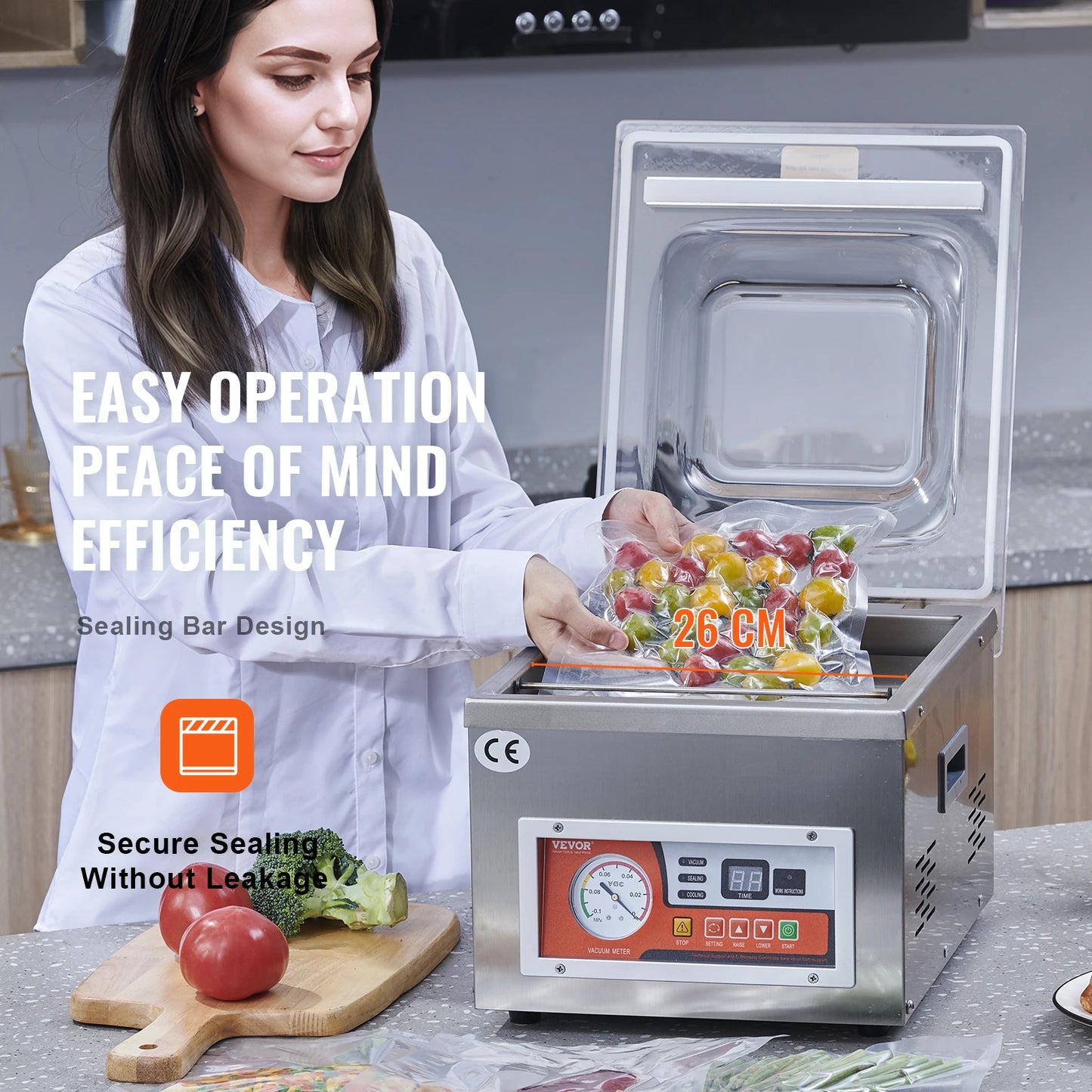 SucceBuy DZ-260A Chamber Vacuum Sealer For Home Storage