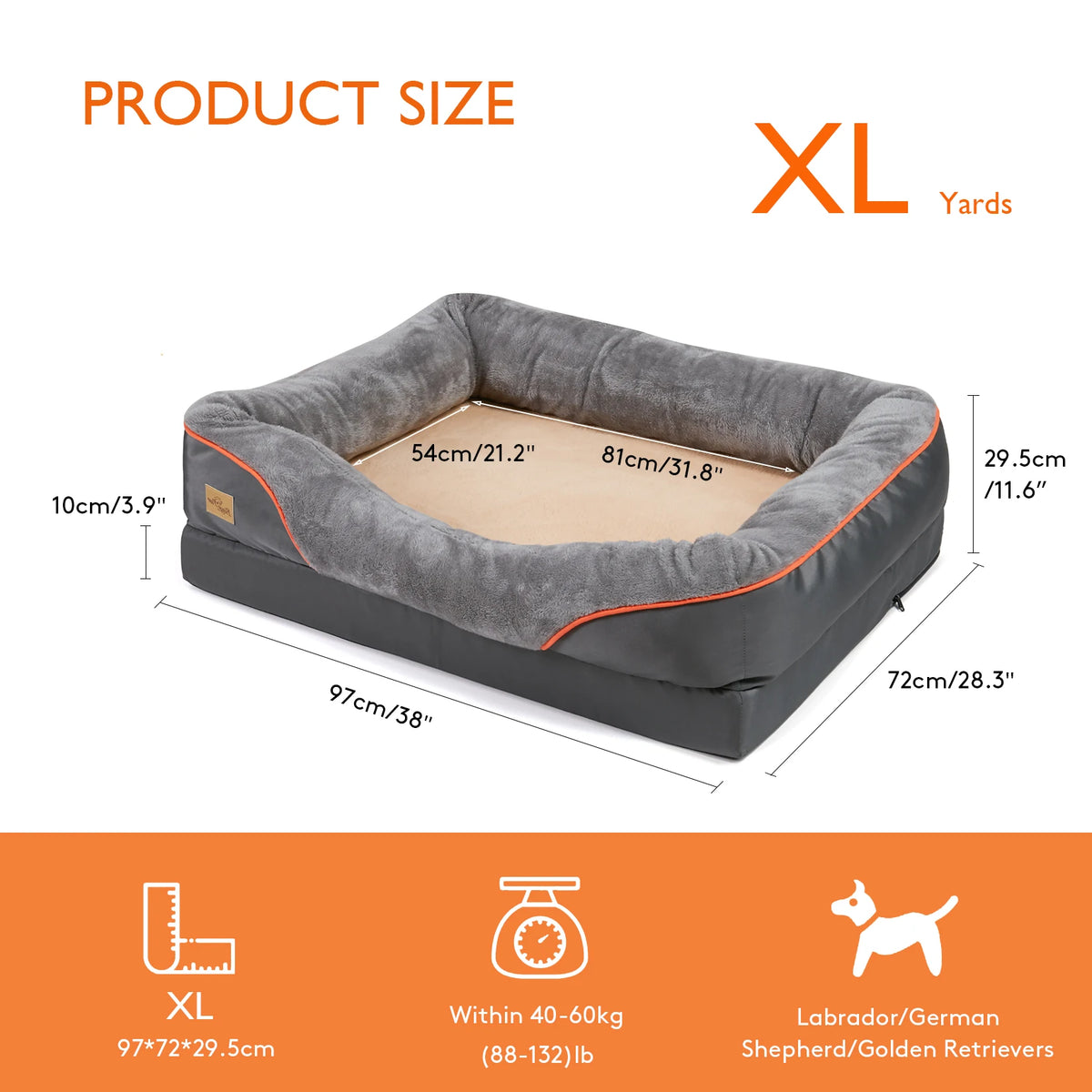 BINGOPAW Washable Foam Dog Bed With Removable Cover