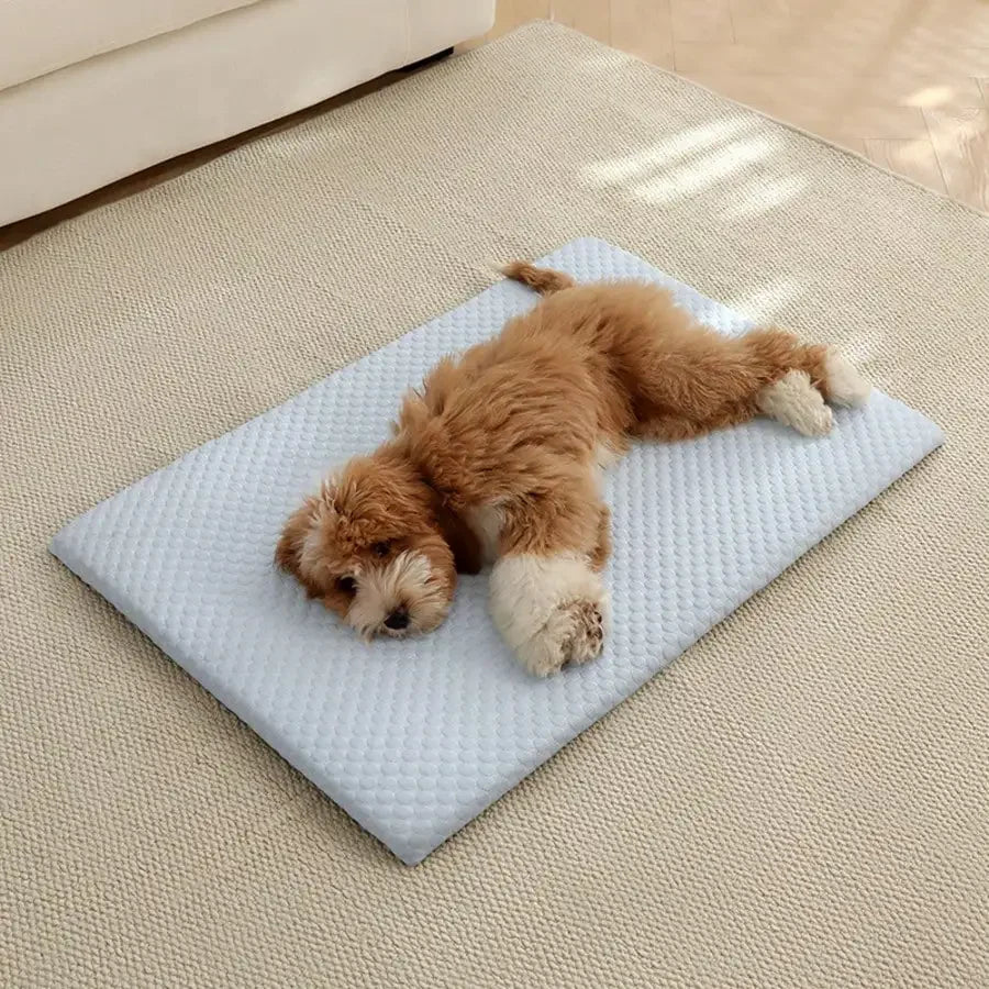 Breathable Cooling Cat Bed With Thick Padding