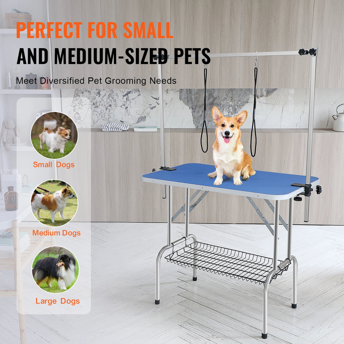 Foldable Stainless Steel Pet Grooming Table With Clamp