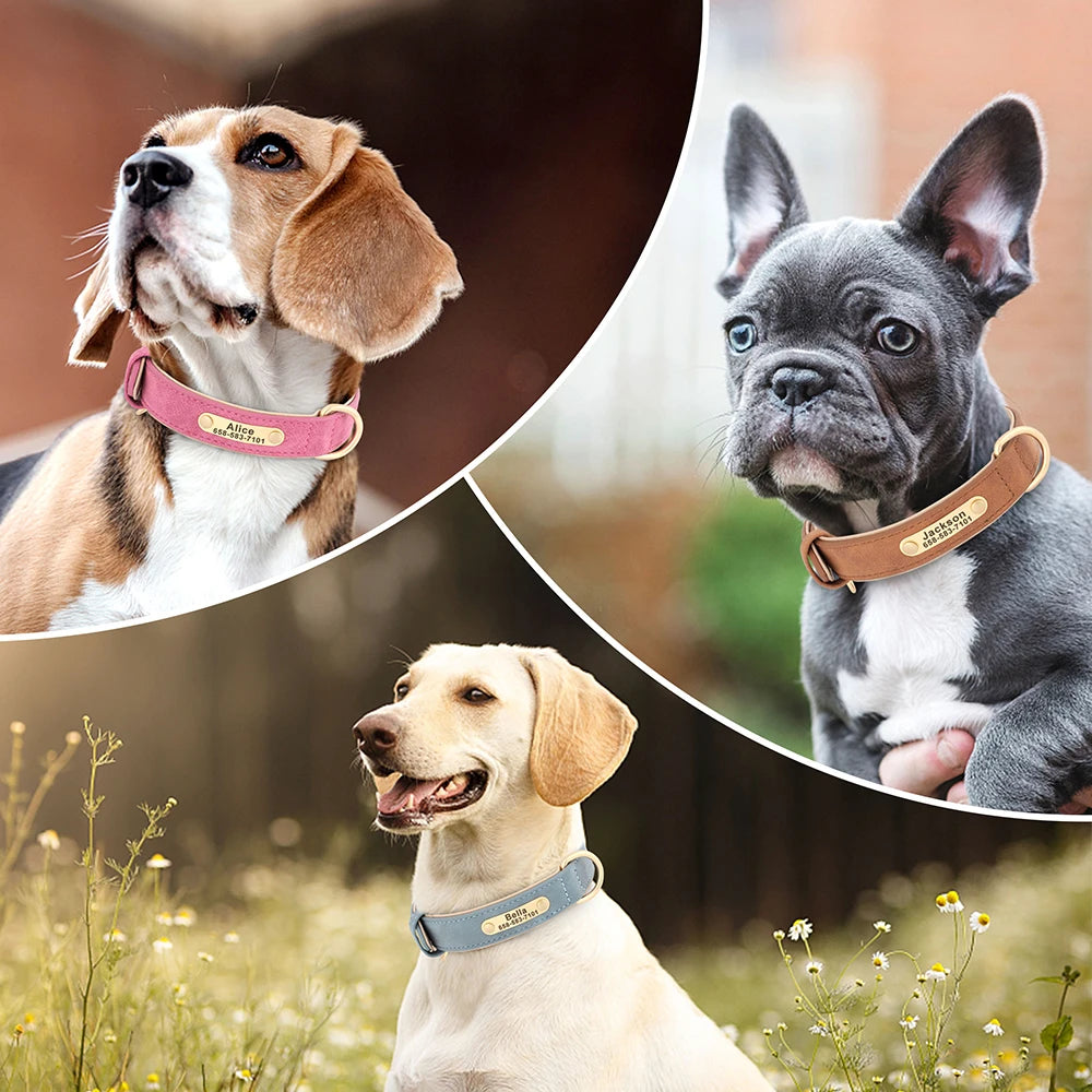 PET ARTIST Personalized Engraved Leather Dog Collar
