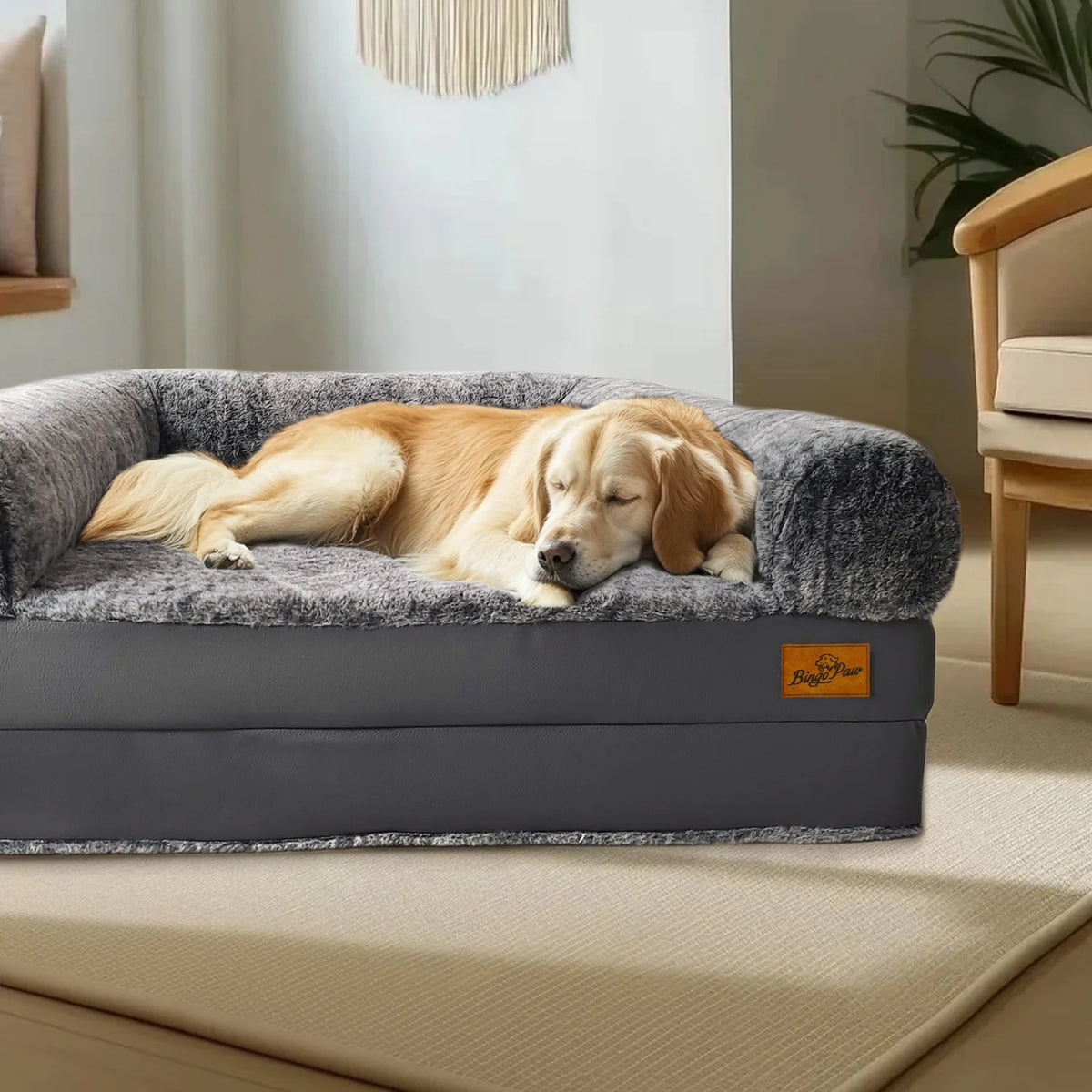 Bingopaw Orthopedic Human Dog Bed