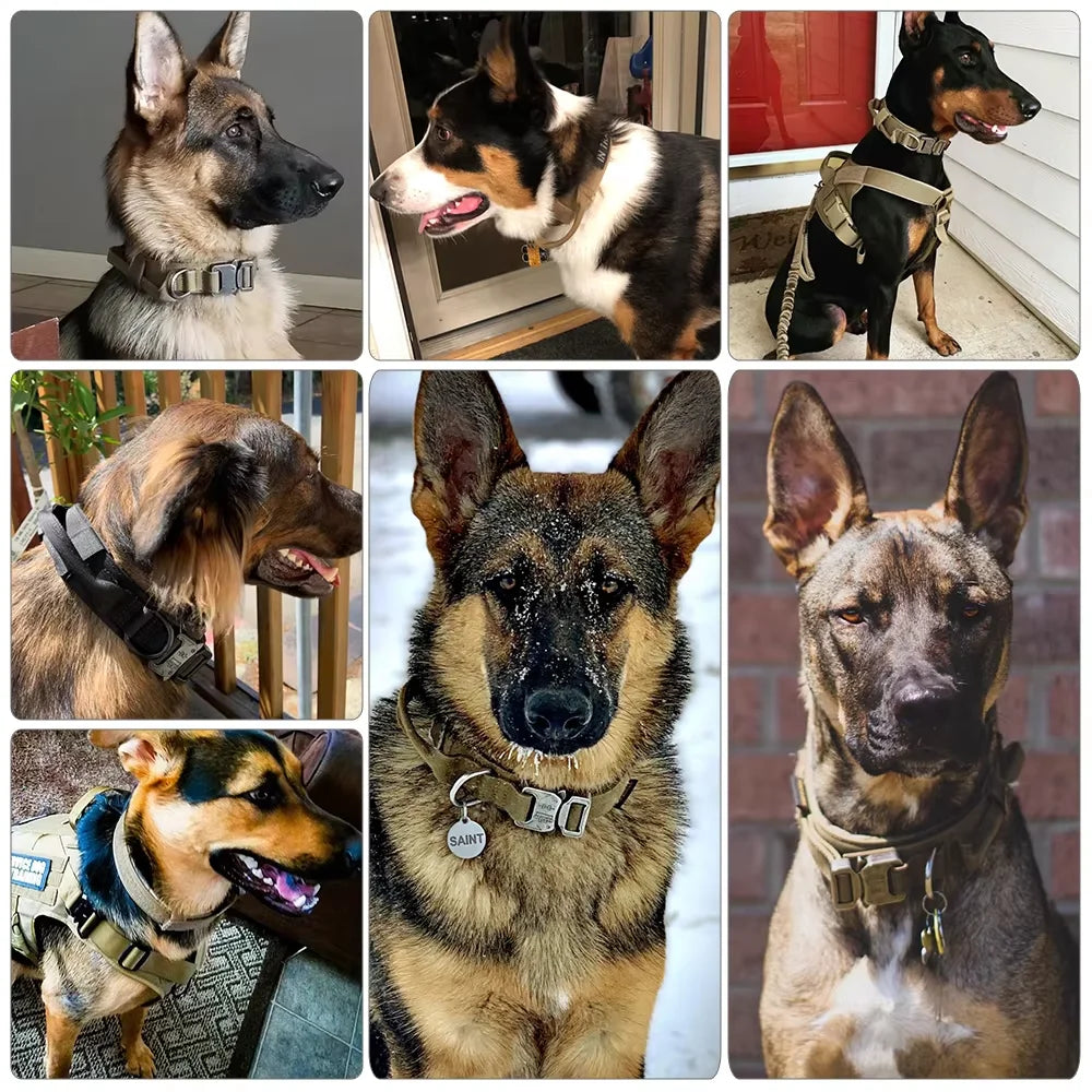 Adjustable Tactical Dog Training Collar With Leash Set