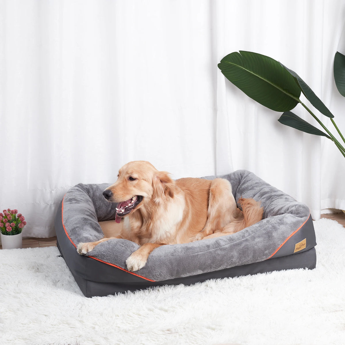 BINGOPAW Washable Foam Dog Bed With Removable Cover