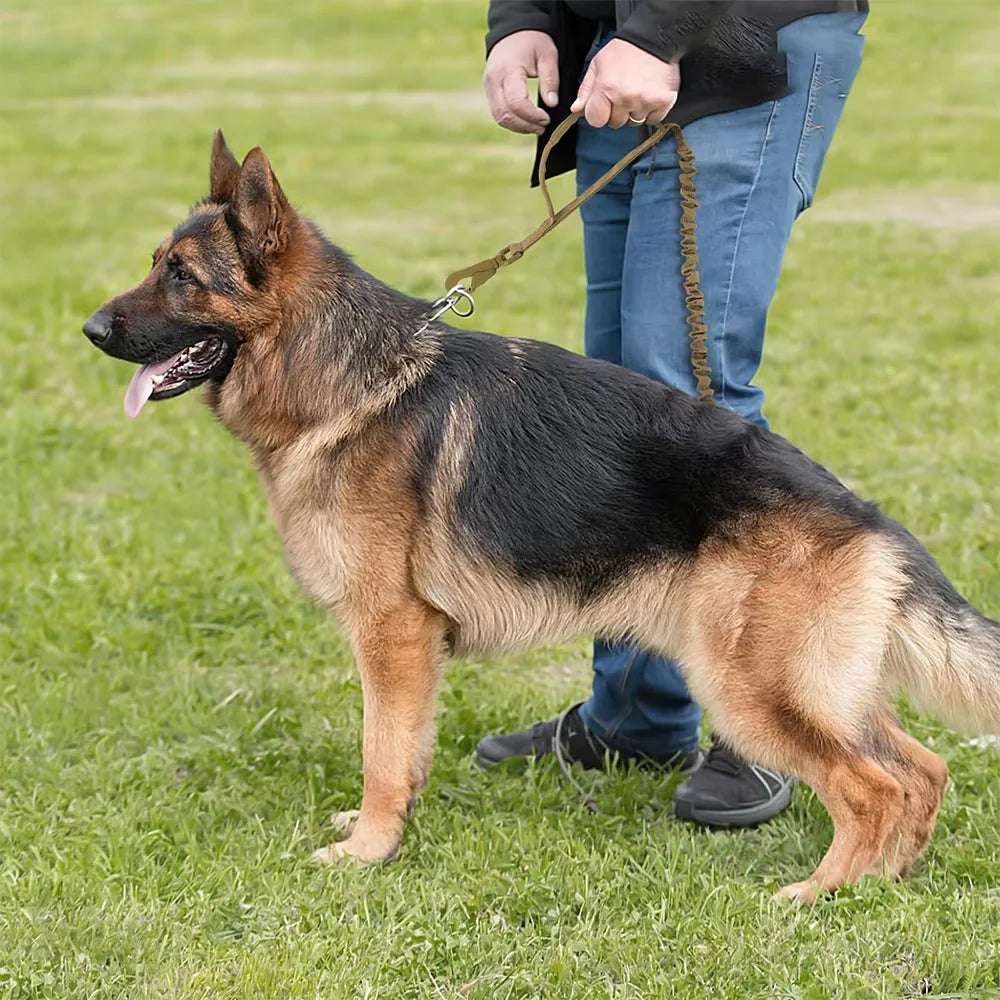 Military Tactical Dog Leash With Dual Handles