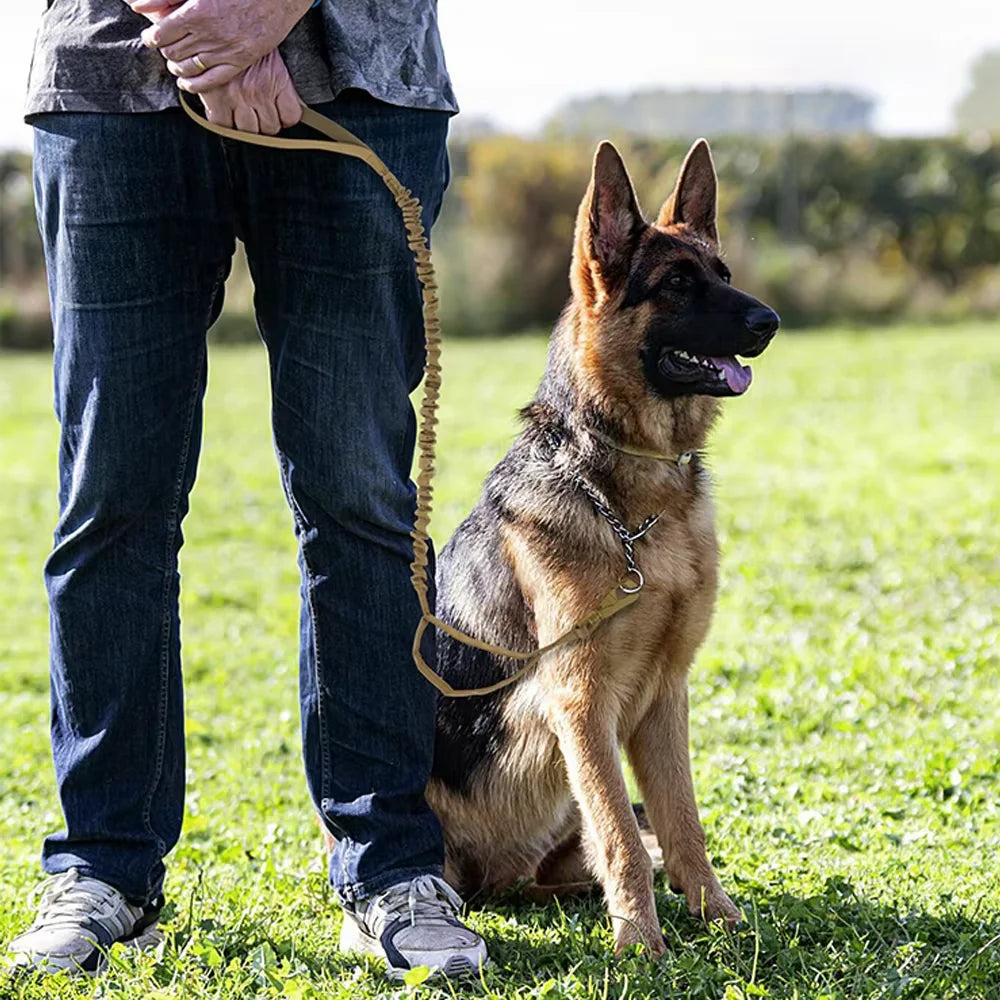 Military Tactical Dog Leash With Dual Handles