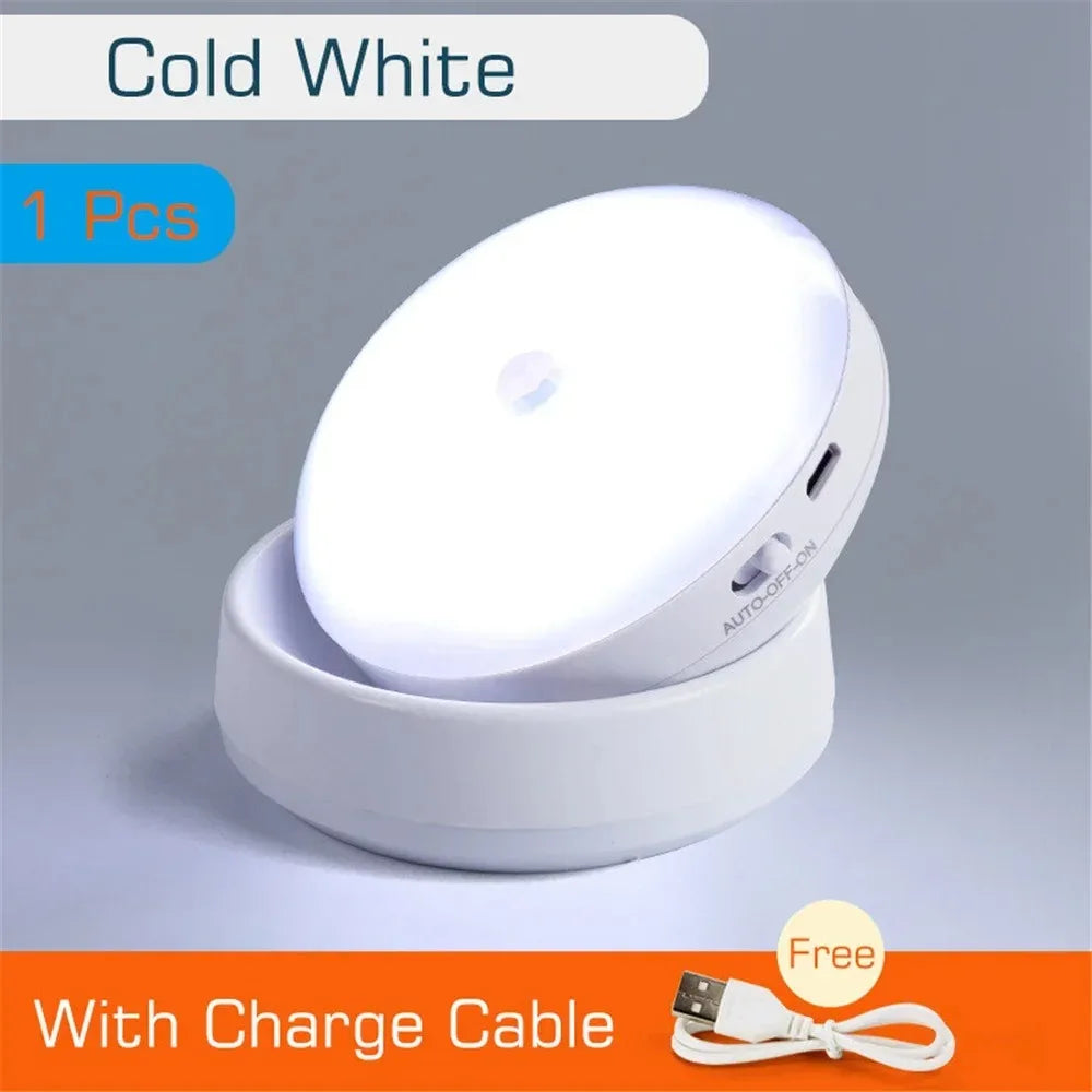 Liuyangmao USB Rechargeable Motion Sensor LED Night Light
